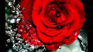 Download lagu NIAGARA •*¨`*•✿ TAK MUNGKIN BERUBAH mp3