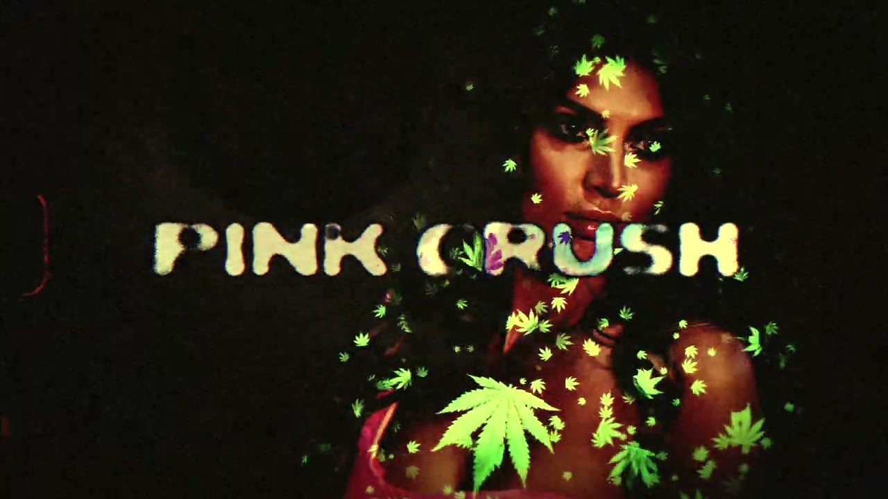 PINK KUSH (official Audio) Jass Goraya | The Takeover | Cheetah