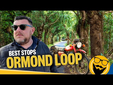 Die 8 besten Stopps auf Floridas Ormond Scenic Loop, die Sie nicht verpassen dürfen!