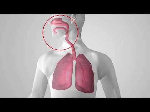 Respiratory care vapotherm high velocity