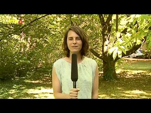 Das Wetter: Sonne satt