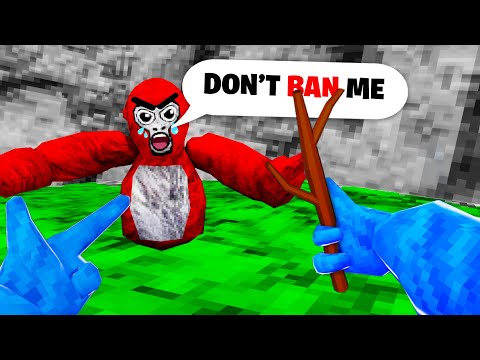 Trolling My Little Brother with MOD STICK in gorilla tag....