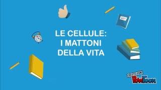 Le cellule: i mattoni della vita