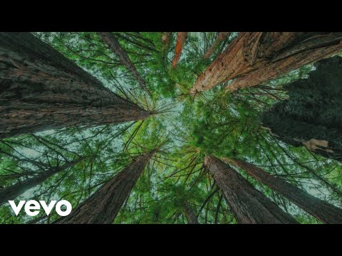 slenderbodies - ruminate (Official Audio)