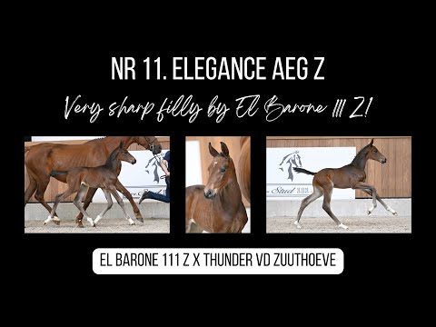 International performing relatives to Elegance AEG Z