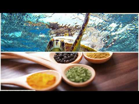 Plattendirektdruck Plattendruck