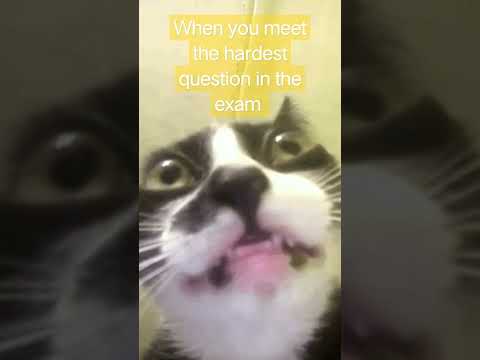 POV : You have an exam tmrw