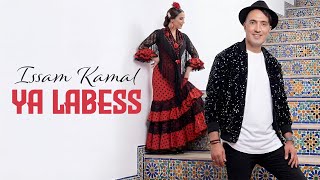 كلمات اغنية يا لاباس عصام كمال