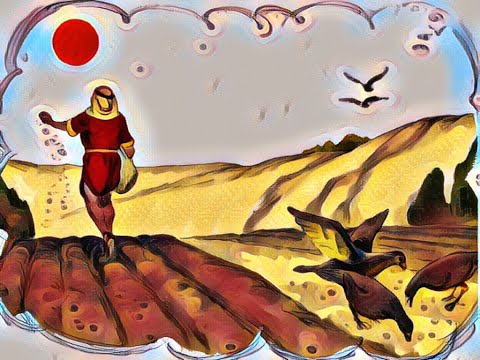 Das Gleichnis vom Sämann - Heilige Bibel