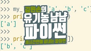 여러 값 가져오기 | 유기농냠냠파이썬 | 김왼손의 왼손코딩