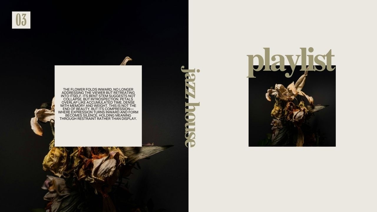 Smooth Jazz House Mix | Deep Grooves for Cafés, Hotels & Rooftops #3