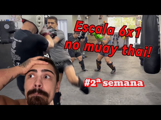 + volume de TREINO e MODO NERDOLA de batalha ATIVADO! (#2 ROTINA SEMANAL BRUTA)