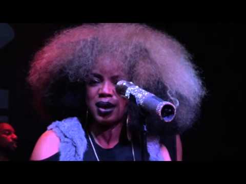 Thumbnail for Leela James - Fall For You {Live @ Bizz'Art, Paris, 30th november 2015} by Leela James