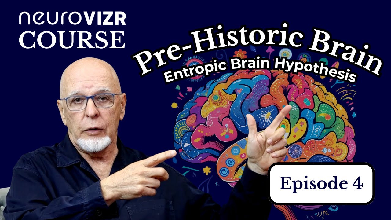  Part 4 | Is Your Brain "Stuck"? The Entropic Brain Theory Explained