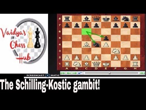 How to play against the Schilling-Kostic gambit!