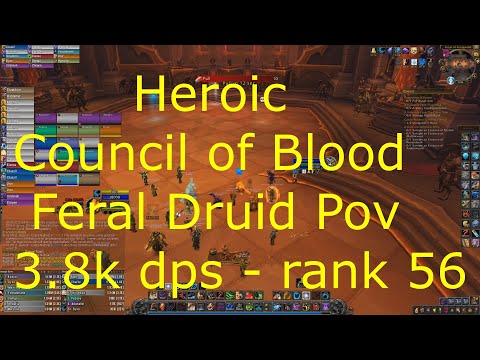 Shadowlands 9.0.2 - Feral Druid POV Guide  - Heroic Council of Blood - 3.8k DPS, 98% parse, rank 56.