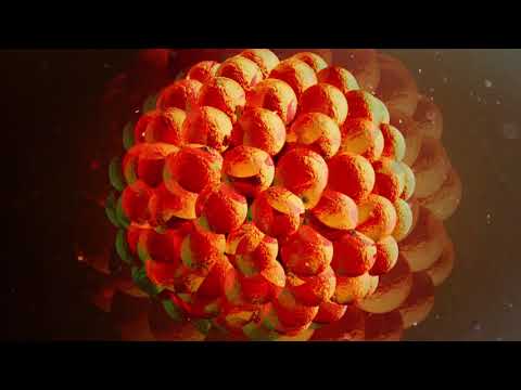 X3MO - Hijos de la Pandemia [2021]