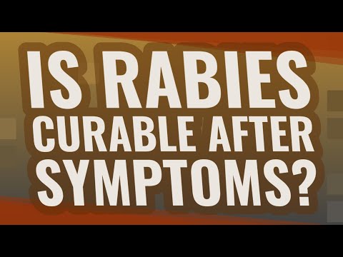 Is rabies curable after symptoms?