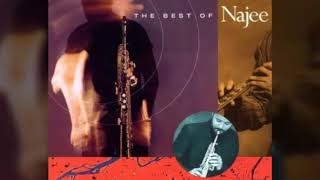 Najee &amp; Freddie Jackson - Have You Ever Loved Somebody