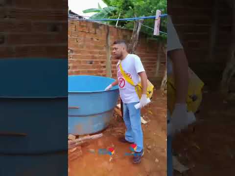 Buriti Bravo contra a Dengue
