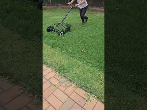 Manual push reel mower #gardening #reel mowing
