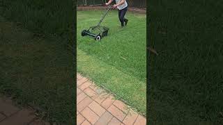 Manual push reel mower #gardening #reel mowing