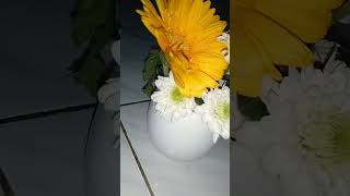 Download lagu Flowers🌺🌺 mp3