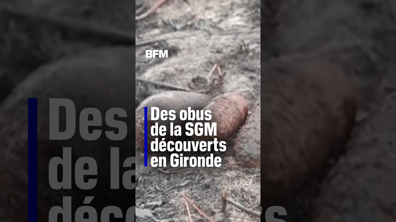 Incendie en Gironde: des obus de la Seconde Guerre mondiale découverts sur les surfaces calcinées