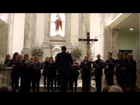 Montagano 2016 - 22 Novembre 2016 - So' che sei qui di Henderson V Cipri