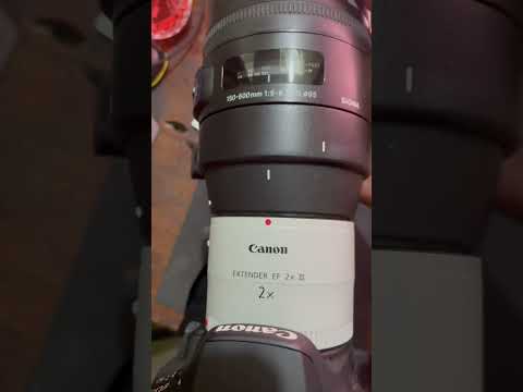 #shorts Canon 2x extender with Sigma 150-600mm lens, #DSLRPhotography,,#PhotographySkills,#DSLRShot