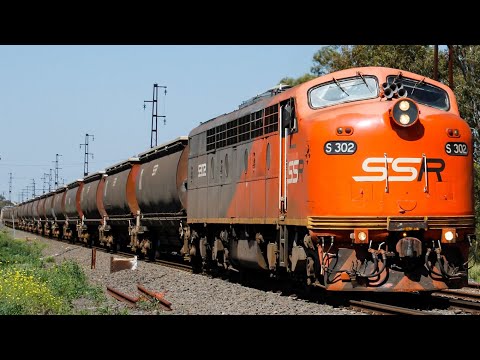 SSRs 9198 Ex Nullawil Grain S317, S302 - 3/10/19