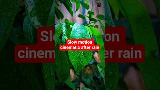 Download lagu Slow motion cinematic after rain 🌧️ #msycinematic #mobilevideography #slomotion #rain mp3