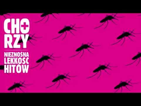 Każdy mężczyzna ma w sobie coś z geja - CHORZY - [Juwenalia Szczecin]