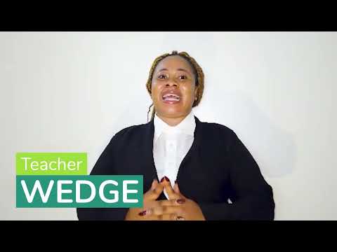 Wedgeのプロフィール動画