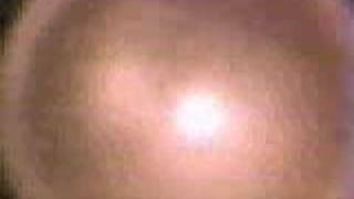 Throwing Muses - Dizzy (music video)