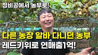 자녀 3명 키우는 40대 가장이 5년간 키위 농사를 포기할 수 없었던 이유