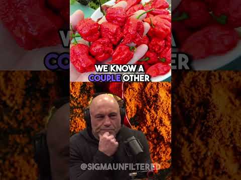 How Eating Spicy Foods Increase Testosterone | JRE featuring Andrew Huberman