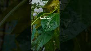 Download lagu jaga kesehatan mental #katakatabijak #motivation #storywa #katakatapositif #mentalhealth mp3 Download lagu jaga kesehatan mental #katakatabijak #motivation #storywa #katakatapositif #mentalhealth mp3