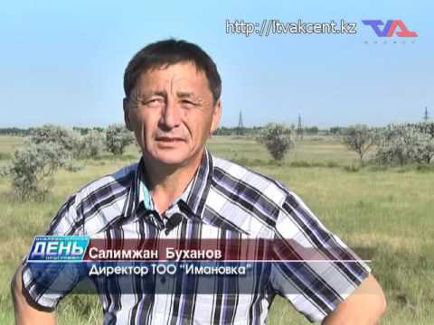 Выпуск программы «День» от 8 июня 2016г.