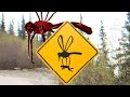 Unnerving Images With Monster By Skillet