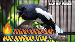 Download lagu The reason why the kacer doesn't want to unload its contents when hung up and how to overcome thi... mp3