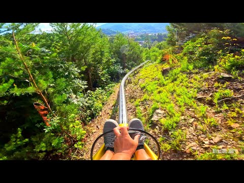 Only Single-Rail Mountain Coaster in United States | Rail Runner at Anakeesta & Treetop Skywalk 2023