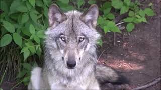 Kenny Chesney - A Lot of Things Different (Video)