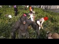 LIVE GTA EVENT 100 PLAYERS Vs 1 GORILLA