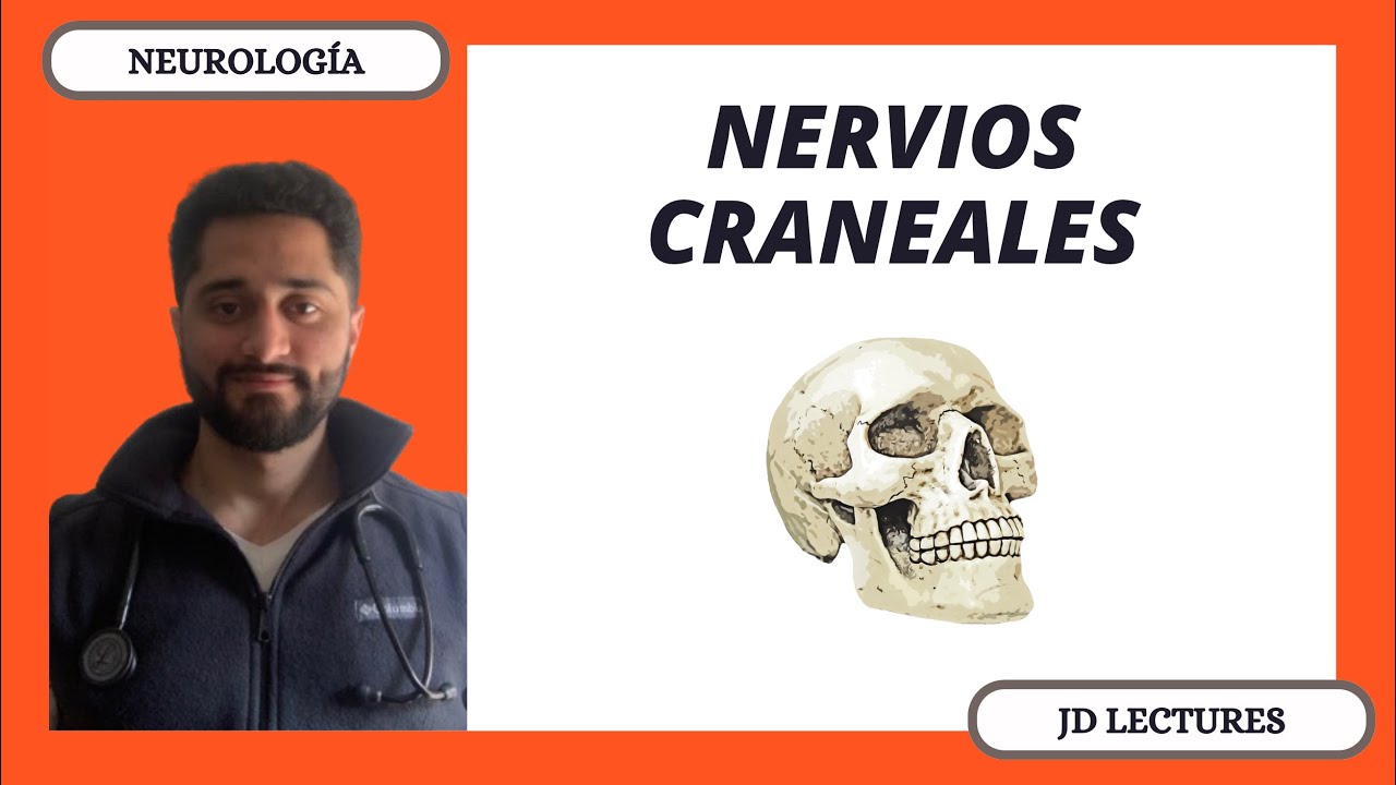 NERVIOS CRANEALES | GENERALIDADES | NEUROLOGÍA
