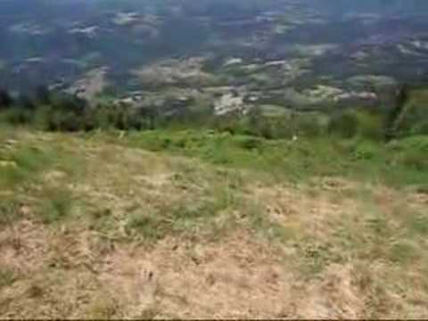 Débroussaillage 28-06-2008