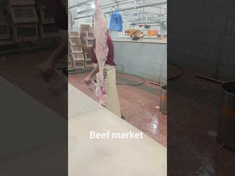 #beef #mrkeet#follow4follow