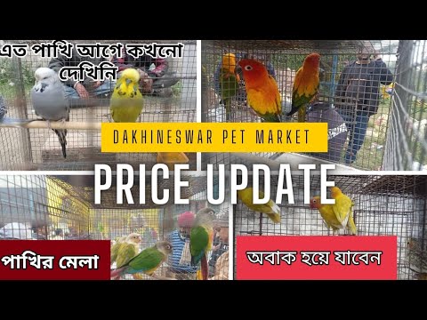 Recent Week All  Exotic Bird Price | Dakhineswar Pet Market | 21st Jan 2024 #dog #birds