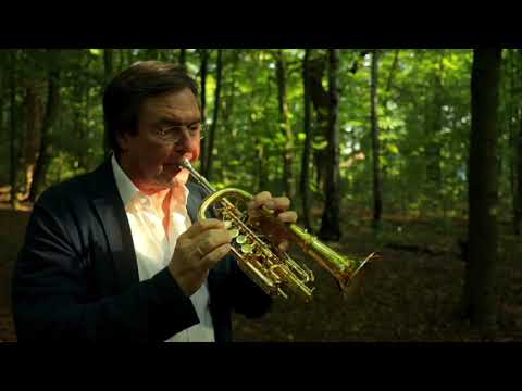 Matthias Höfs. »Rettet das Wandsbeker Gehölz«