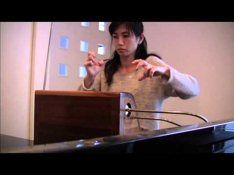 The Swan Saint-Saens Theremin 白鳥～Sayoko Takaki～